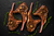 Marinated Lamb Chops