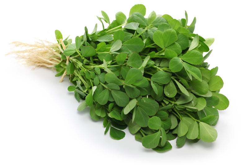 Fresh Fenugreek (Methi)