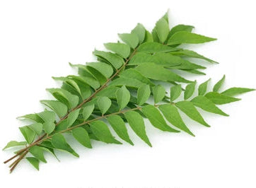 Fresh Curry Leaves