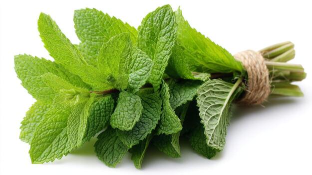 Fresh Mint