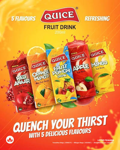 Juice Cartons 250ml